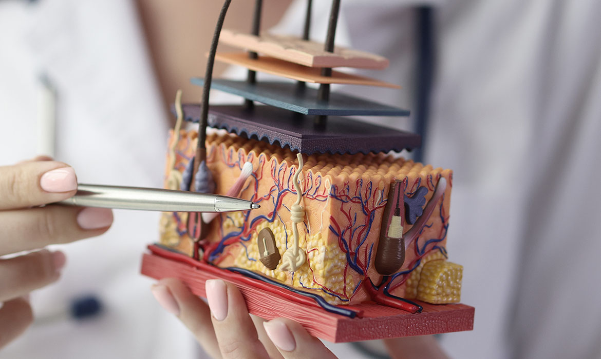 hair loss mesotherapy