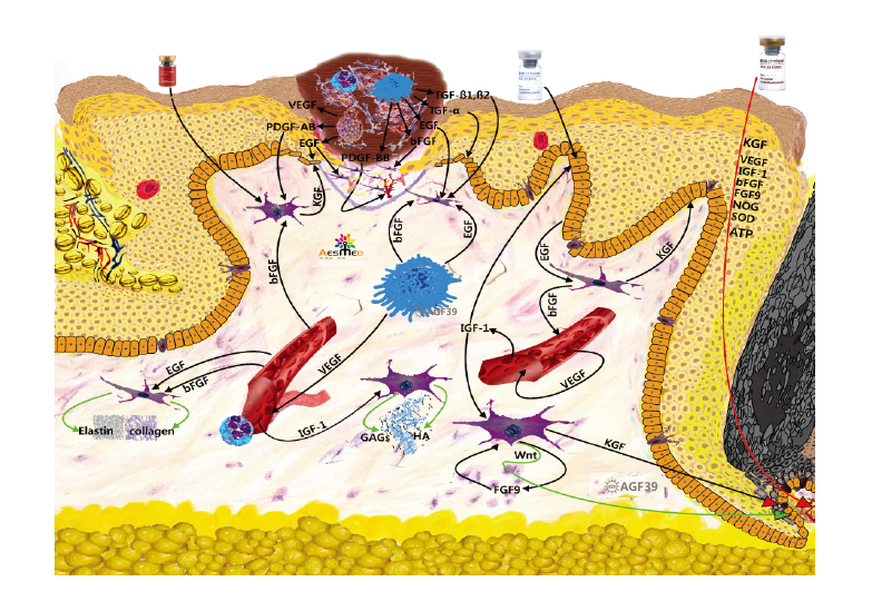 cytokines therapy for alopecia